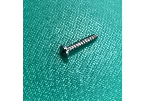 Slotted Pan Head Self Tapping Screw No6 x 3/4" (Stainless Steel) (Rear Sparto Light Lens Reatiner) 500414