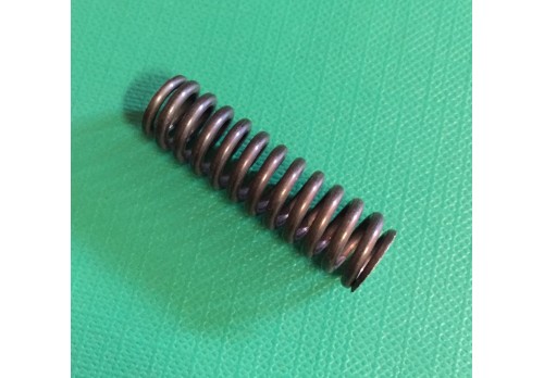 Detent Spring 56102