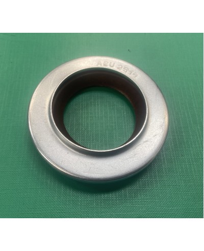 Salisbury Axle Diff Pinion Oil Seal AEU2515 (RTC1010) (AAU3381)