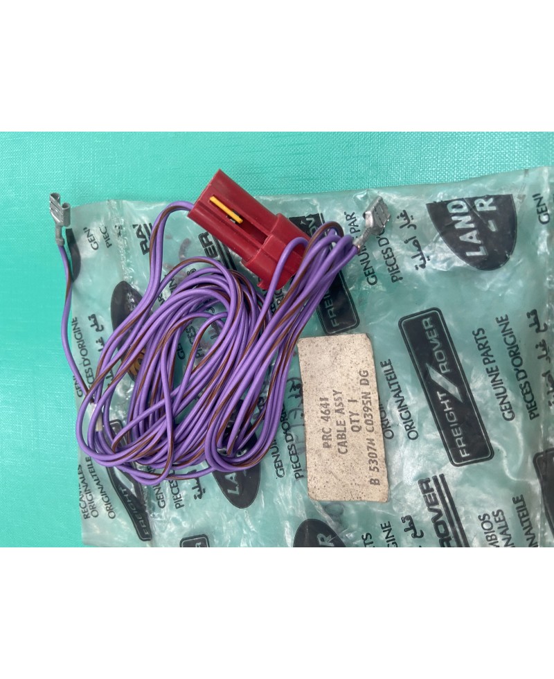 PRC4641 - Cable Rear Electric Window